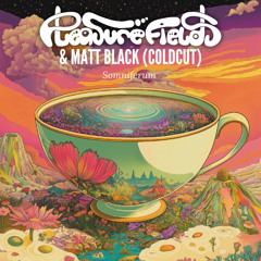 Pleasurefields & Matt Black - Somniferum