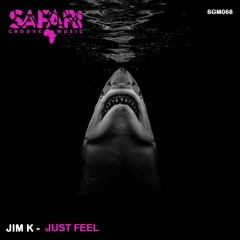 Jim K - Just Feel
