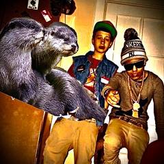 flyguyzzz w/ elibanss (elibanss)