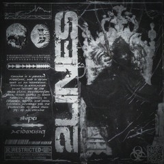 2LINES - SHIPU X ACIDMUSIQ