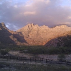 paranoia prod. l'cie