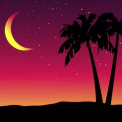 DJ TETE ELECTRO PALMERA SEPTIEMBRE 2025