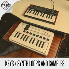 Keys / Synth Loops and Samples (Demo Preview)