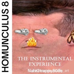 Homunculus, The Instrumental Experience 1