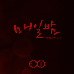 [2025 Ver.] EXID (이엑사이디) - Everynight (매일밤) (Cover by ARDEN)