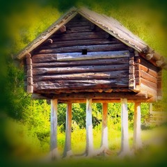 The essence of self-isolation