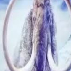 CYBERMAMMOTH CANNON [CLIP]