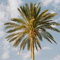 Metrocast 004: Panamæ.x