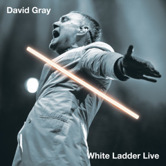 White Ladder (Live)