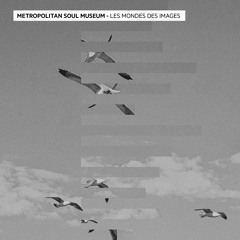 Terre Ecosaisse (Original Mix)