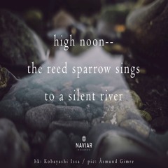 halF silenT [naviarhaiku437]