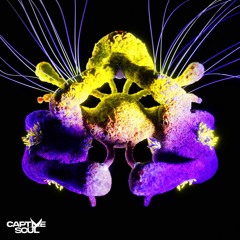 Carlo Whale, Th;en - Fragments of Light (Extended Mix)