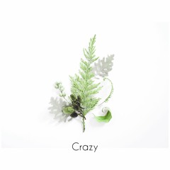 Crazy