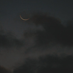 سورة القيامة || عبد الرحمن السيد