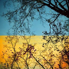 Threnody for Ukraine, Op.11