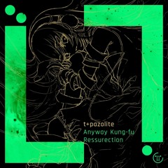 t+pazolite - Anyway Kung-fu Resurrection