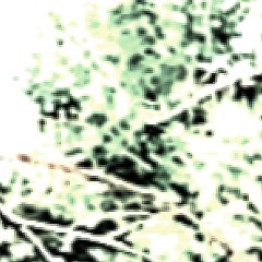 fine when no one noticed