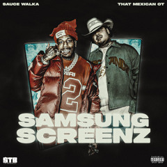 Samsung Screenz