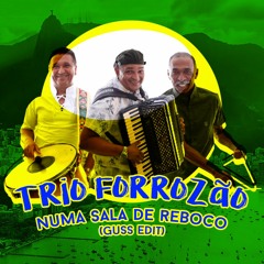 Trio Forrozão - Numa Sala de Reboco (Guss Edit)