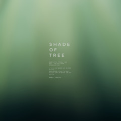 Shade of Tree