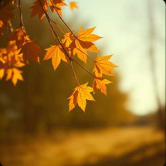Under this shy autumn light
