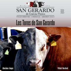 Gerardo García Pintos - Remate San Gerardo