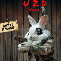 U2D(Side A)