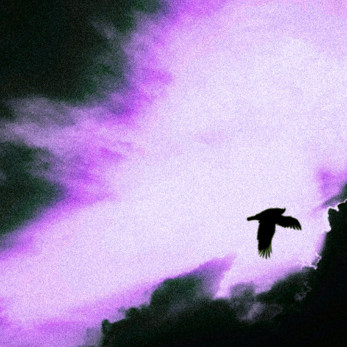 The bad guy cries alone 2