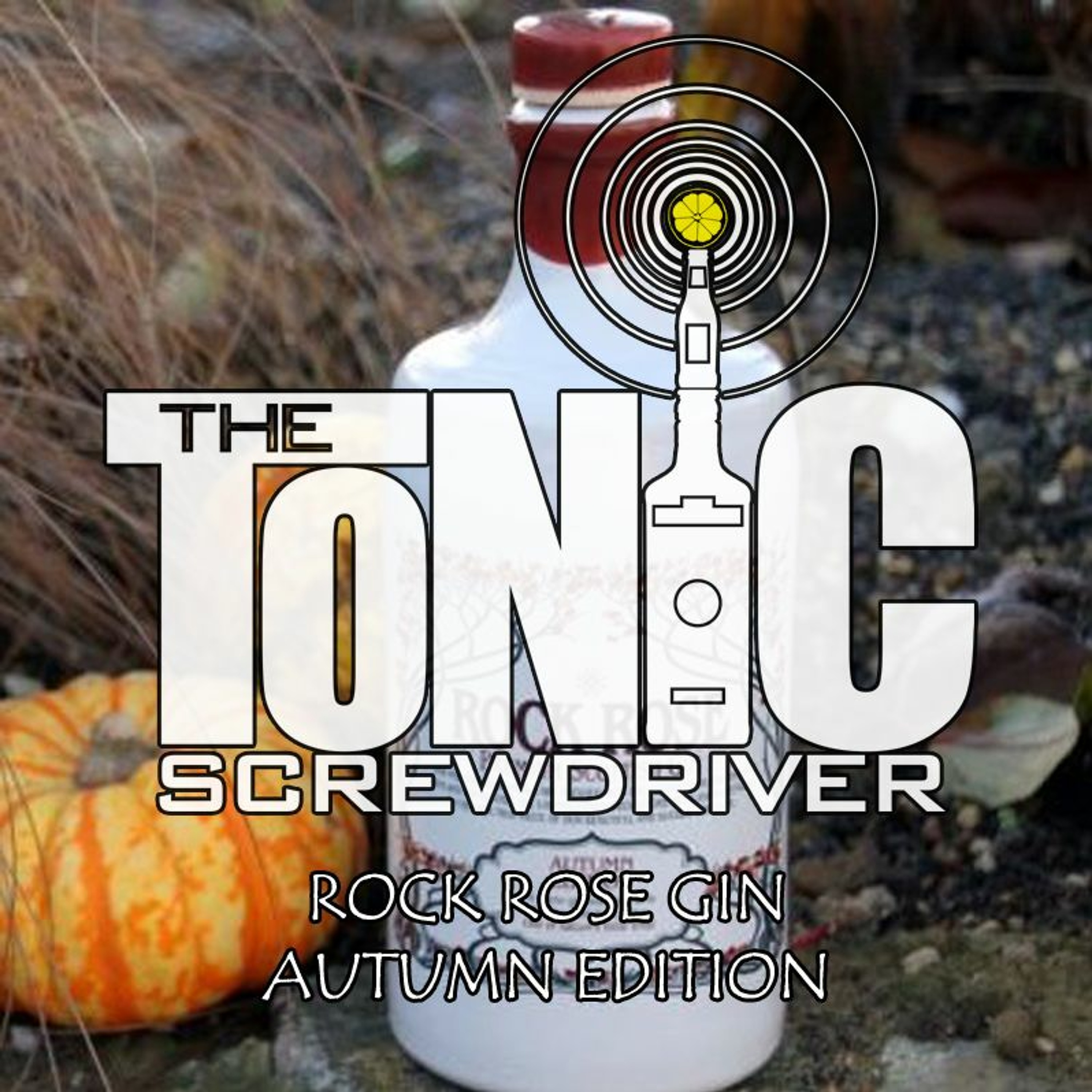 The Tonic Screwdriver