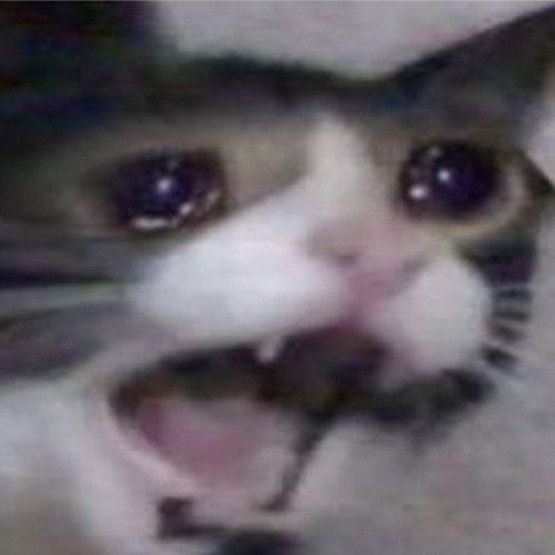 You are a idiot meme // Daycore