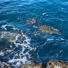 TAKE IT SLOW (J Boog Cover)