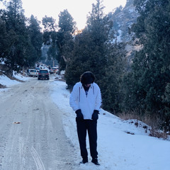 Frishta Raha & Amir hoshang Nezami - Mela OFFical