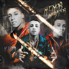 Menor Infrator