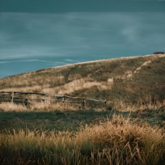 Paul McLinden - Dublin Delight