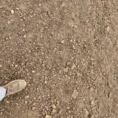 steps