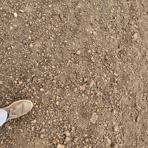 steps