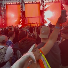 Bass in your Face