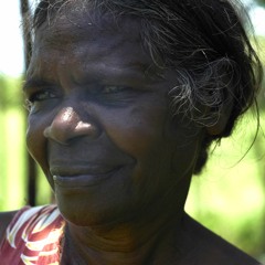 Dhäwu Ramingining'puy