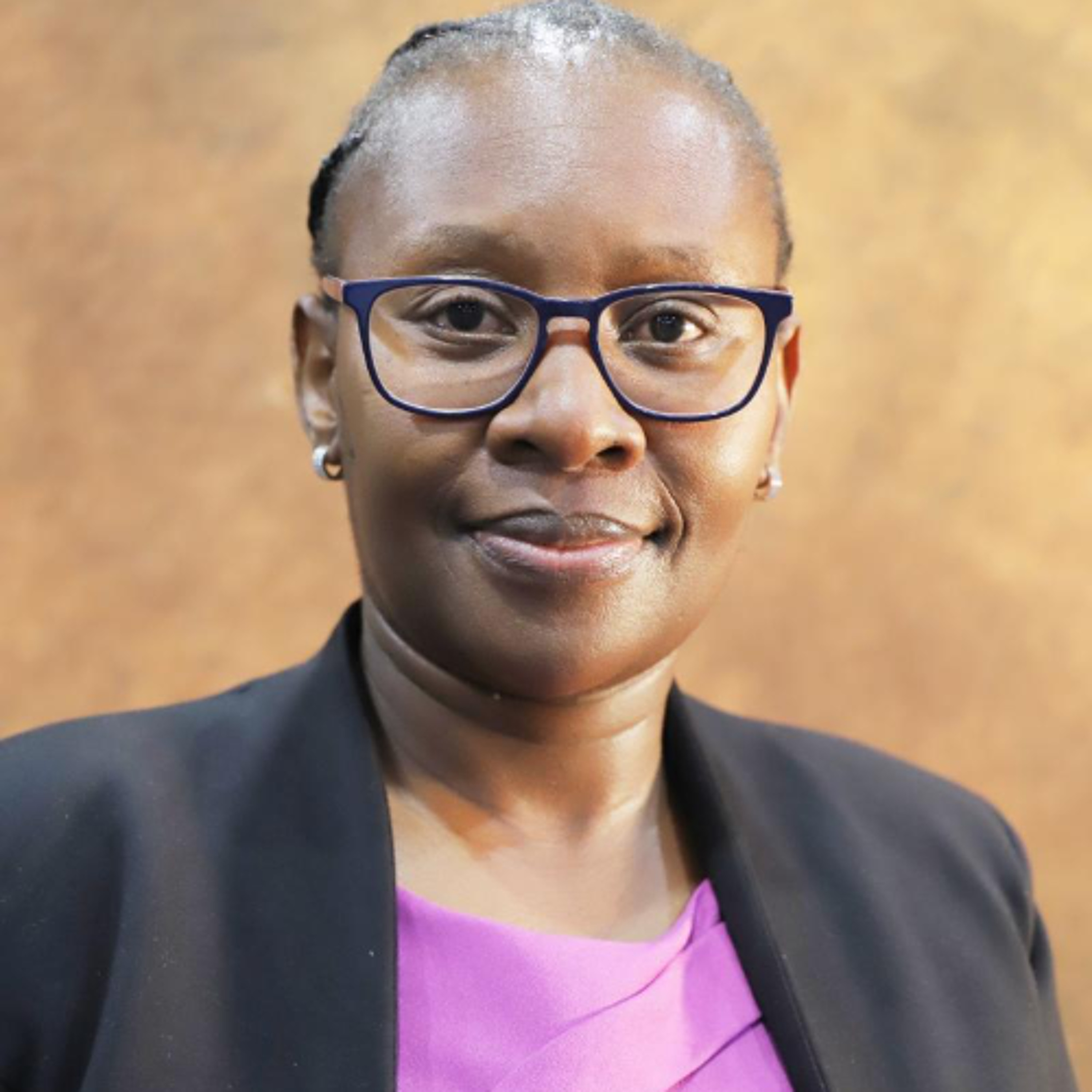 GCIS Acting DG Nomonde  Mnukwa on the Expropriation Act.