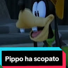 PIPPO HA SCOPATO (SANCTUARY REMIX)