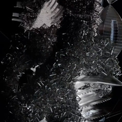 NERVUS TRACK - DSTN PROJECT