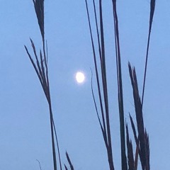 Tabaco Road (Versão Devagar)