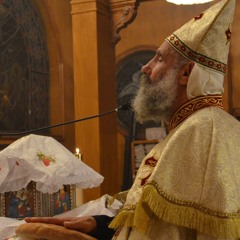 Meditations/Sermons/Lectures🕊️🤍⛪️