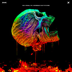 RUN x FIREWALL (VIP) x KIDSGONEMAD x BASS TO THE DOME (ZOOXX EDIT)