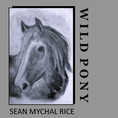 Sean Mychal Rice  -  What Did I Do Last Night
