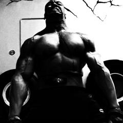 Free Testosterone Frenzy