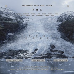 toe_SEVENTEEN / MOTHER_FML