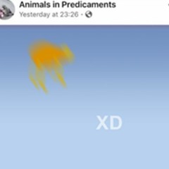 every mashup week song i made in less than 2 minutes.