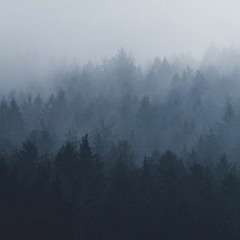 機械夢