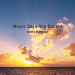 Never Been Any Reason